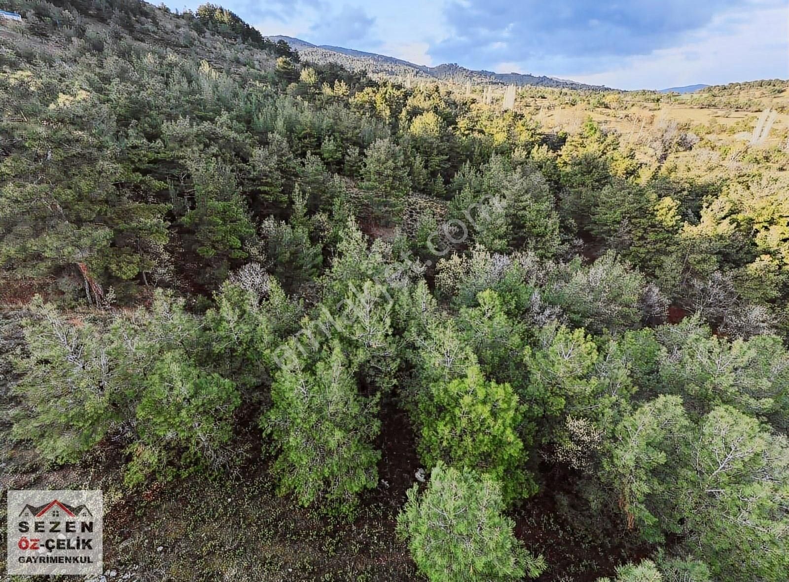 Çanakkale Bayramiç Gedik Köyü Kadastral Yol Yanı Geniş Tarla - Görsel 3
