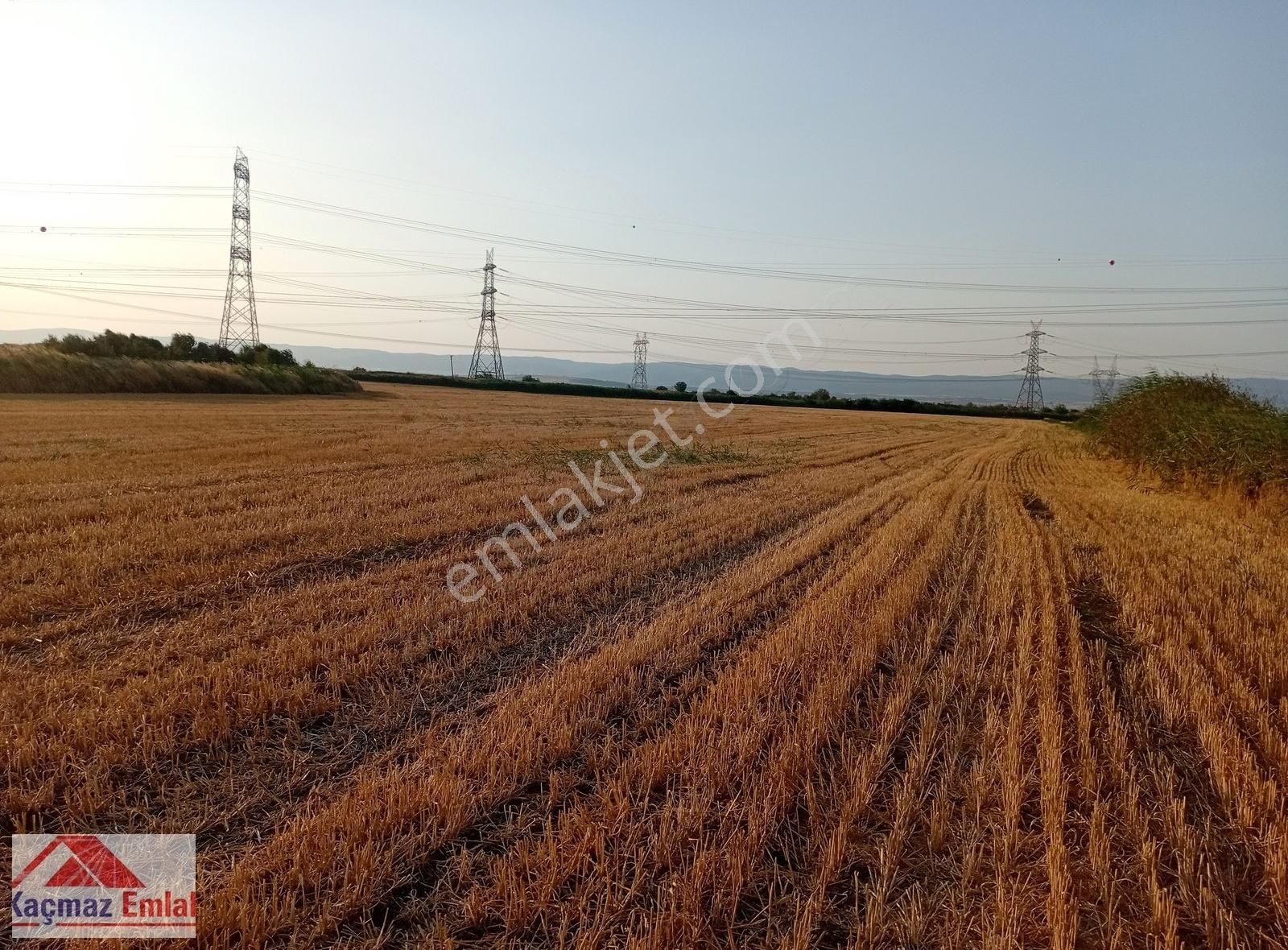 Gelibolu Kavak Köy Nehire Ve Köye Sıfır Yatırımlık 40 Dönüm - Görsel 2