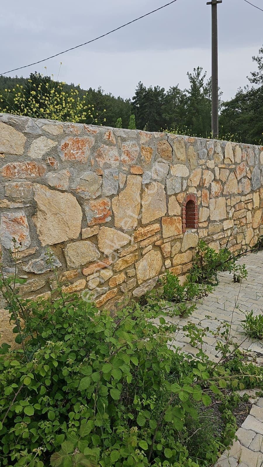 Milas, Kultak, Akbük Koyuna 8km Mesafede Ana Yol Üstü Satılık 3416 M2. Tarla - Görsel 4