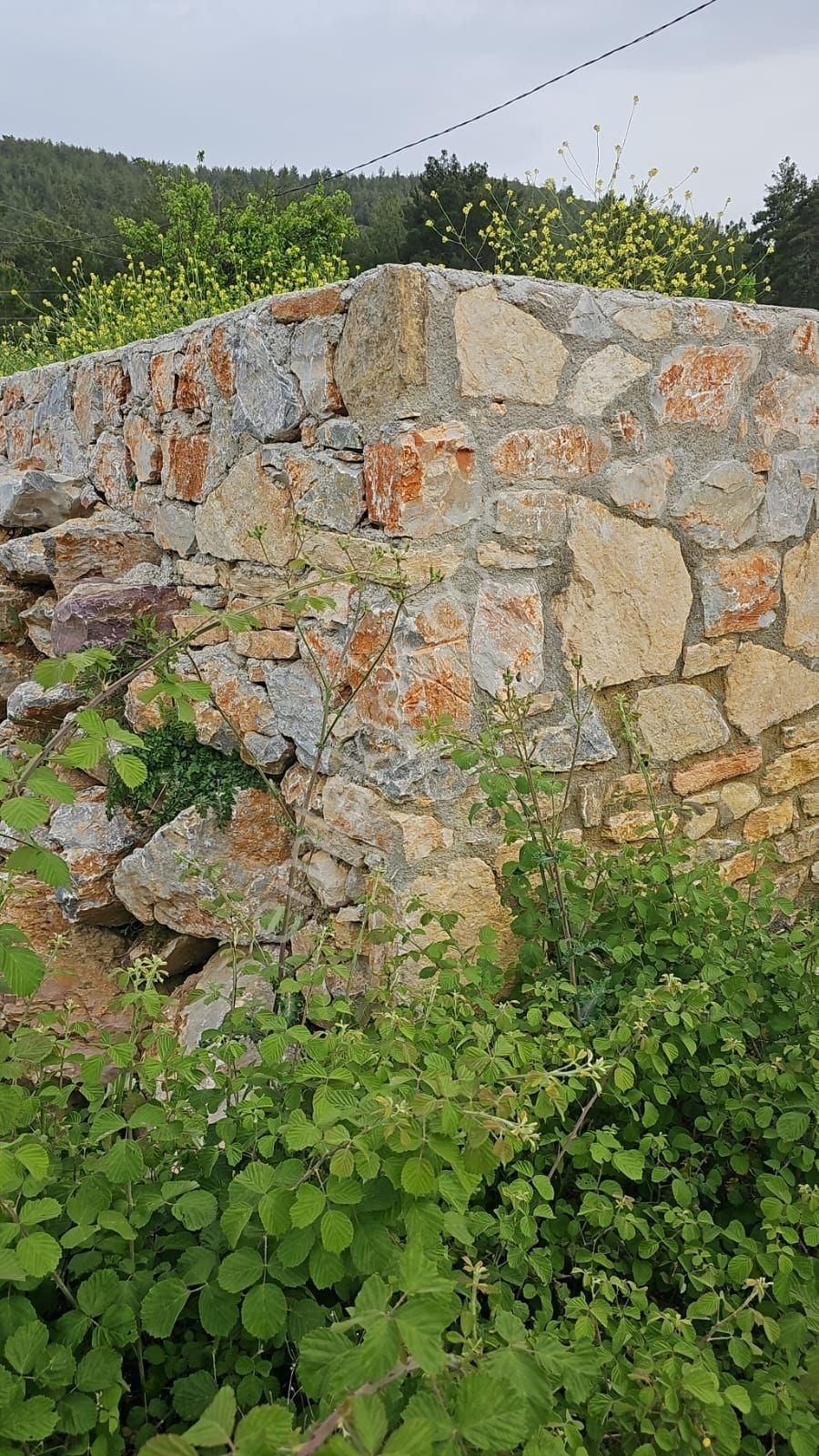 Milas, Kultak, Akbük Koyuna 8km Mesafede Ana Yol Üstü Satılık 3416 M2. Tarla - Görsel 10