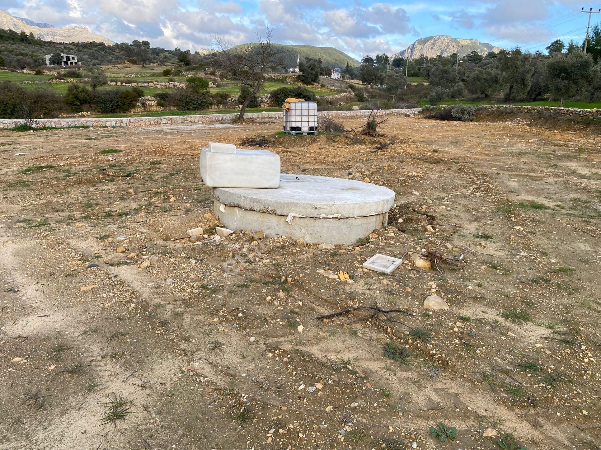 Milas, Kultak, Akbük Koyuna 8km Mesafede Ana Yol Üstü Satılık 3416 M2. Tarla - Görsel 2