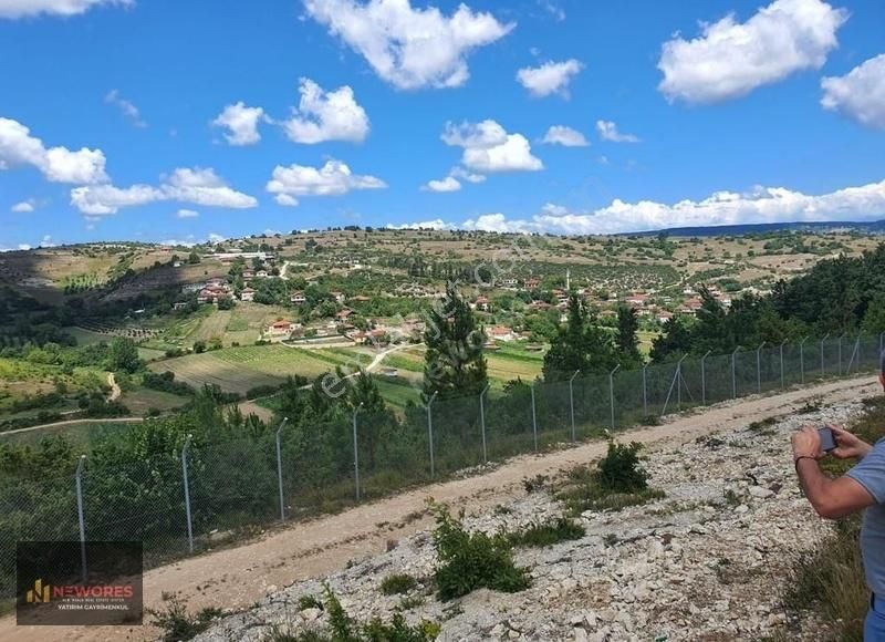 Kandıra'da Satılık Tarla-fındıklık - Görsel 7