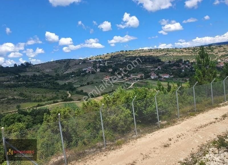 Kandıra'da Satılık Tarla-fındıklık - Görsel 8