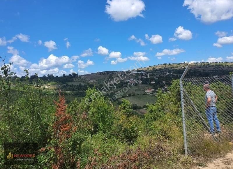 Kandıra'da Satılık Tarla-fındıklık - Görsel 3