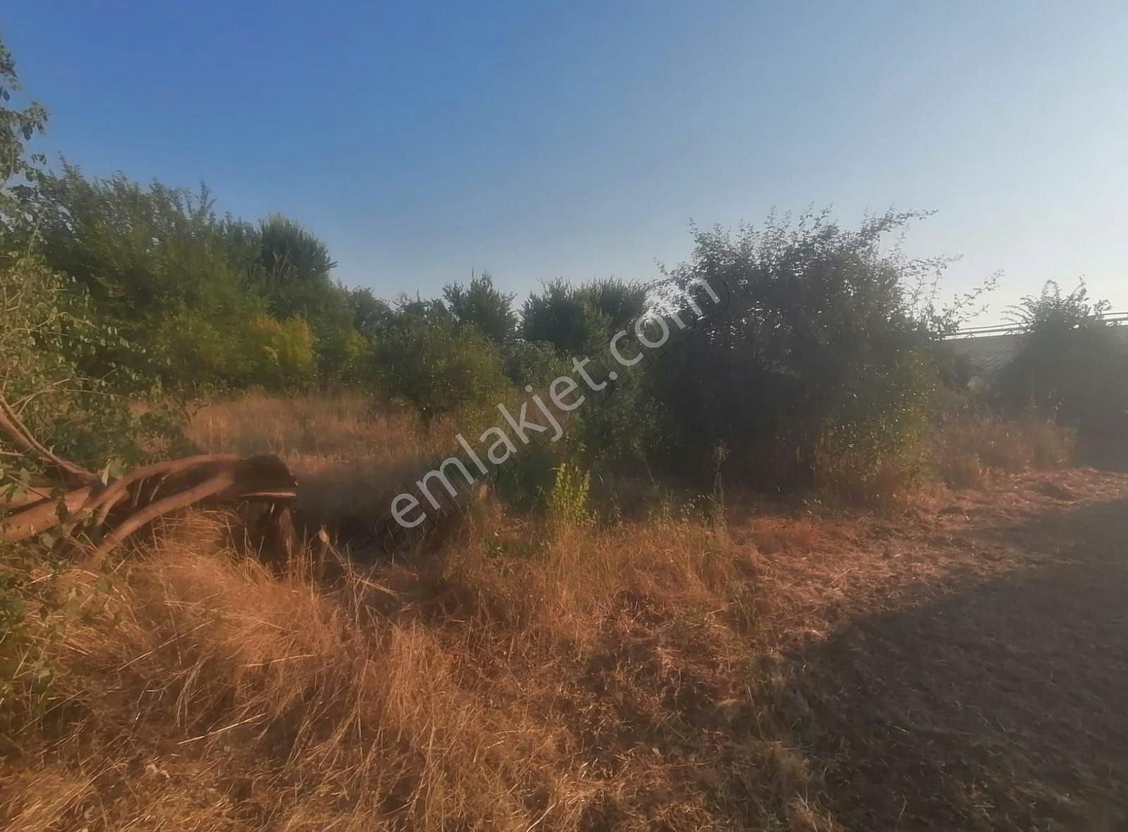 Yanıklar Da Yatırıma Uygun Satılık Büyük Arazi - Görsel 13