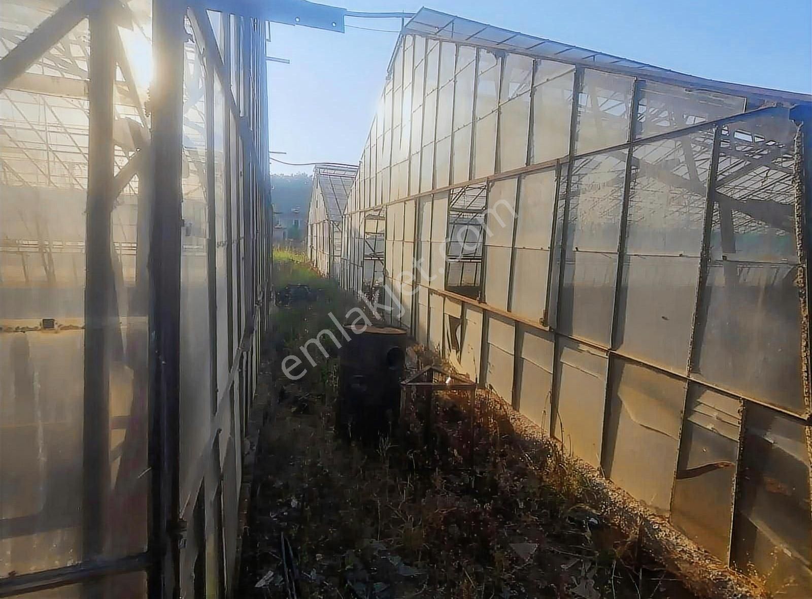 Yanıklar Da Yatırıma Uygun Satılık Büyük Arazi - Görsel 12