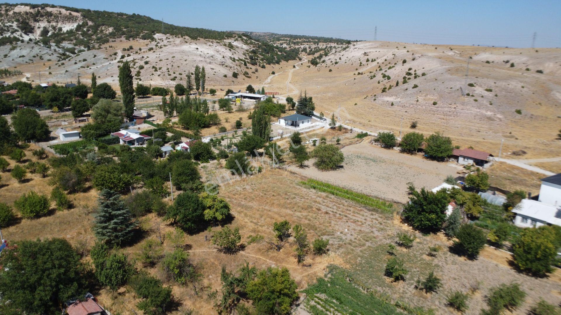 Esgyo'dan Yusuflar Mahallesi Merkezinde 1553 M2 Müstakil Arsa - Görsel 24