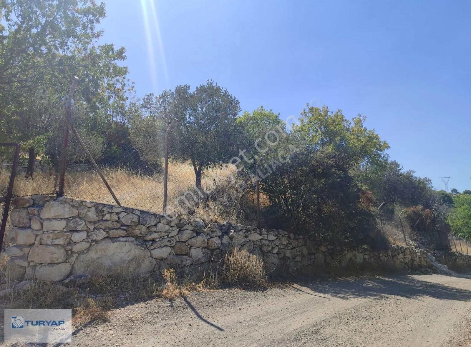 6100 M2 İmar Sınırına Yakın 3 Taraftan Yola Cepheli Zeytinlik - Görsel 2