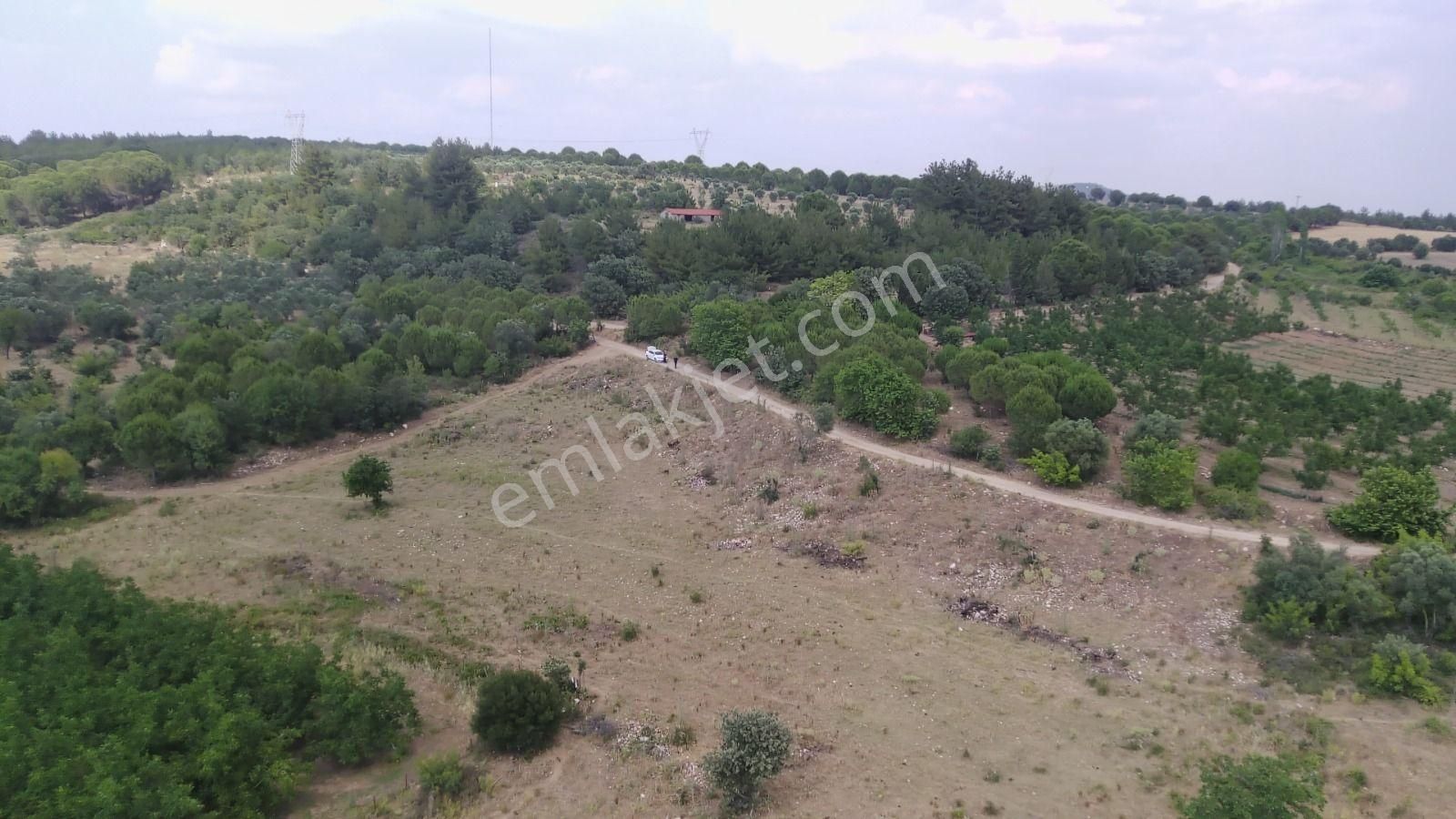 Çanakkale Ezine Çamlıca Yola Cephe Kupon Arazi - Görsel 7