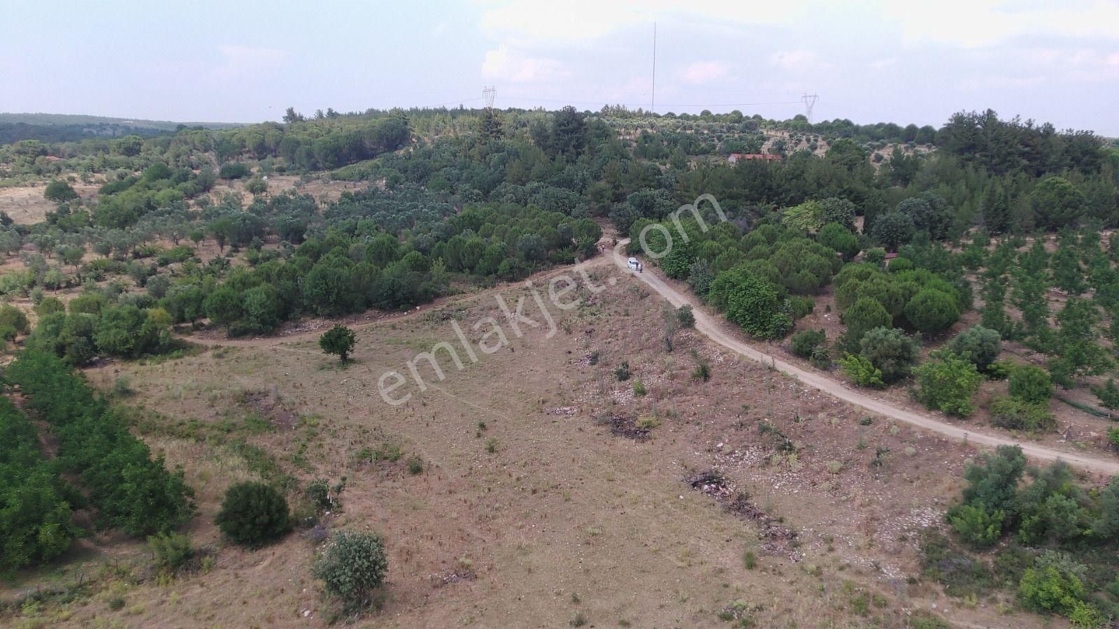 Çanakkale Ezine Çamlıca Yola Cephe Kupon Arazi - Görsel 10