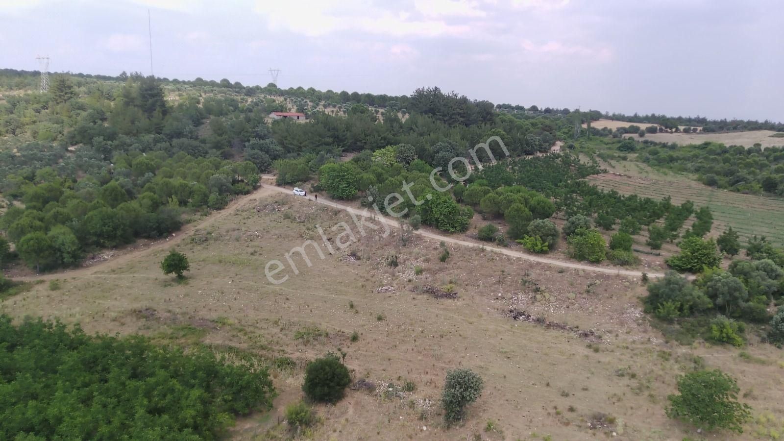 Çanakkale Ezine Çamlıca Yola Cephe Kupon Arazi - Görsel 6