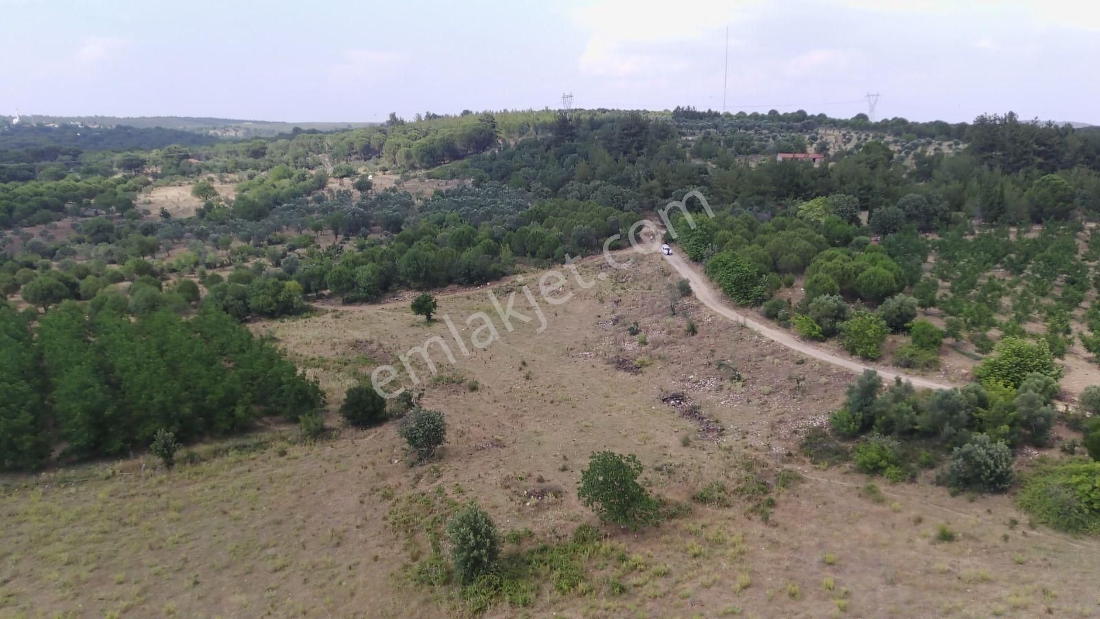 Çanakkale Ezine Çamlıca Yola Cephe Kupon Arazi - Görsel 5