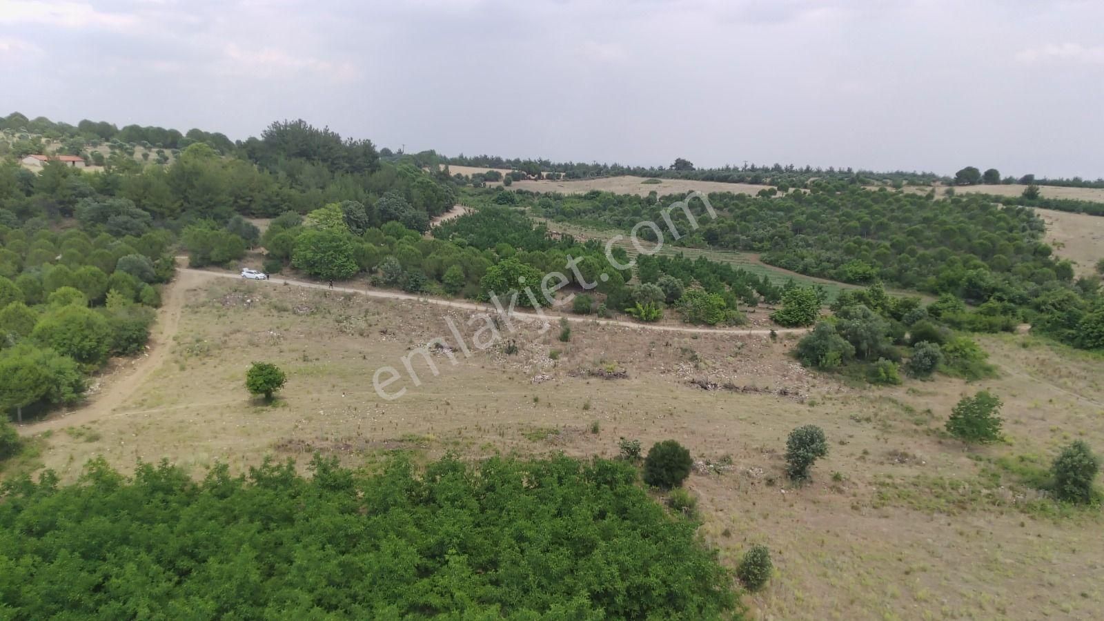 Çanakkale Ezine Çamlıca Yola Cephe Kupon Arazi - Görsel 3