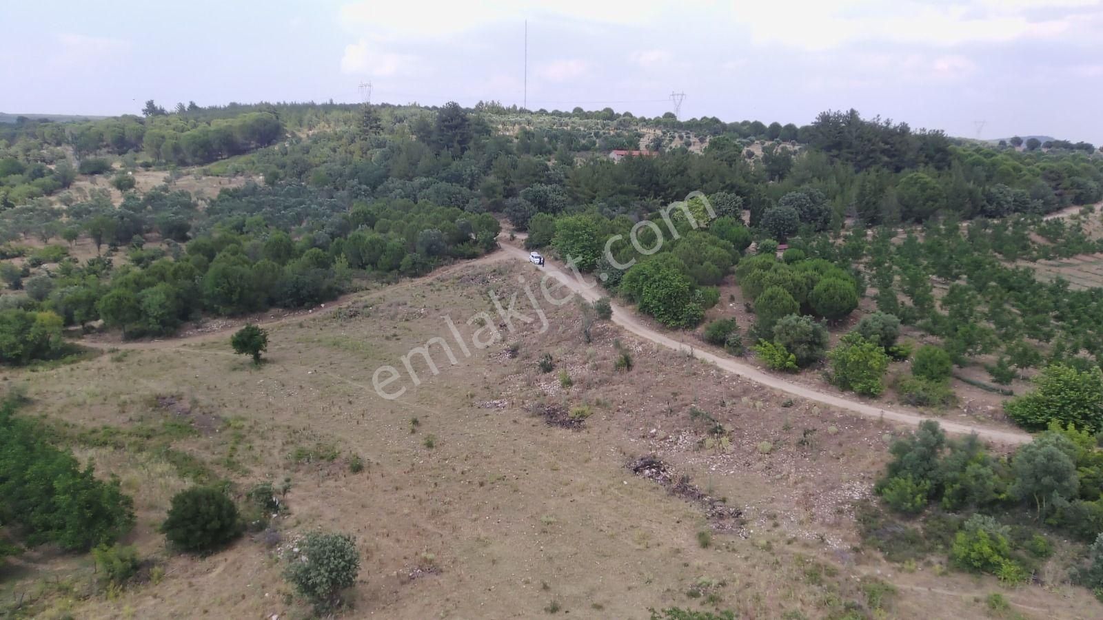 Çanakkale Ezine Çamlıca Yola Cephe Kupon Arazi - Görsel 9