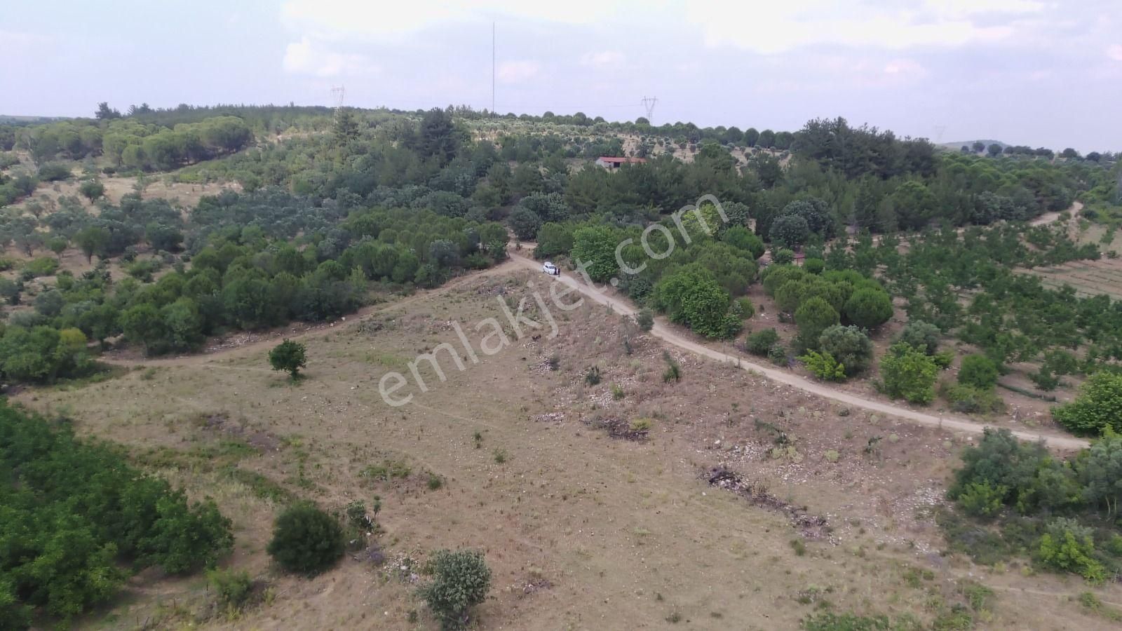 Çanakkale Ezine Çamlıca Yola Cephe Kupon Arazi - Görsel 8