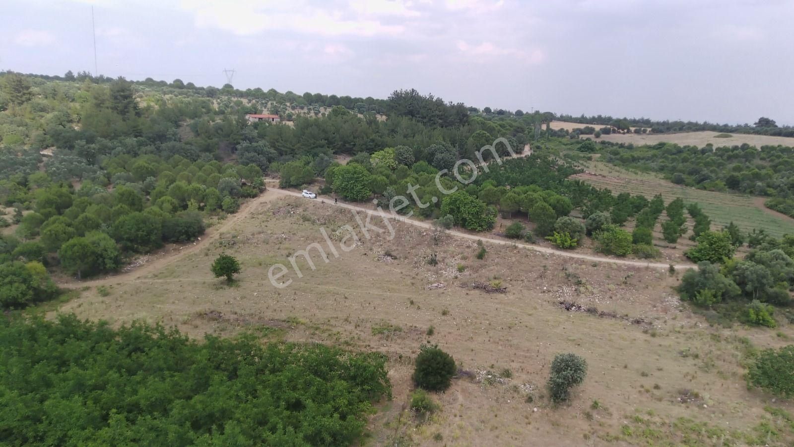 Çanakkale Ezine Çamlıca Yola Cephe Kupon Arazi - Görsel 4