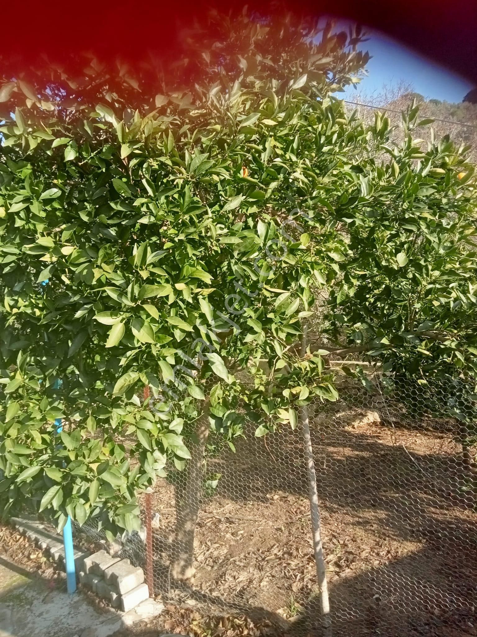 Güllübahçe De Keyifli Bahçesiyle Müstakil İki Katlı Ev - Görsel 23