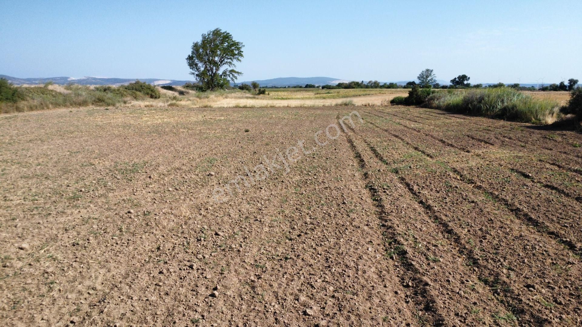 Çanakkale Merkez Çıplak Köyünde 5312 M2 Satılık Tarla - Görsel 13