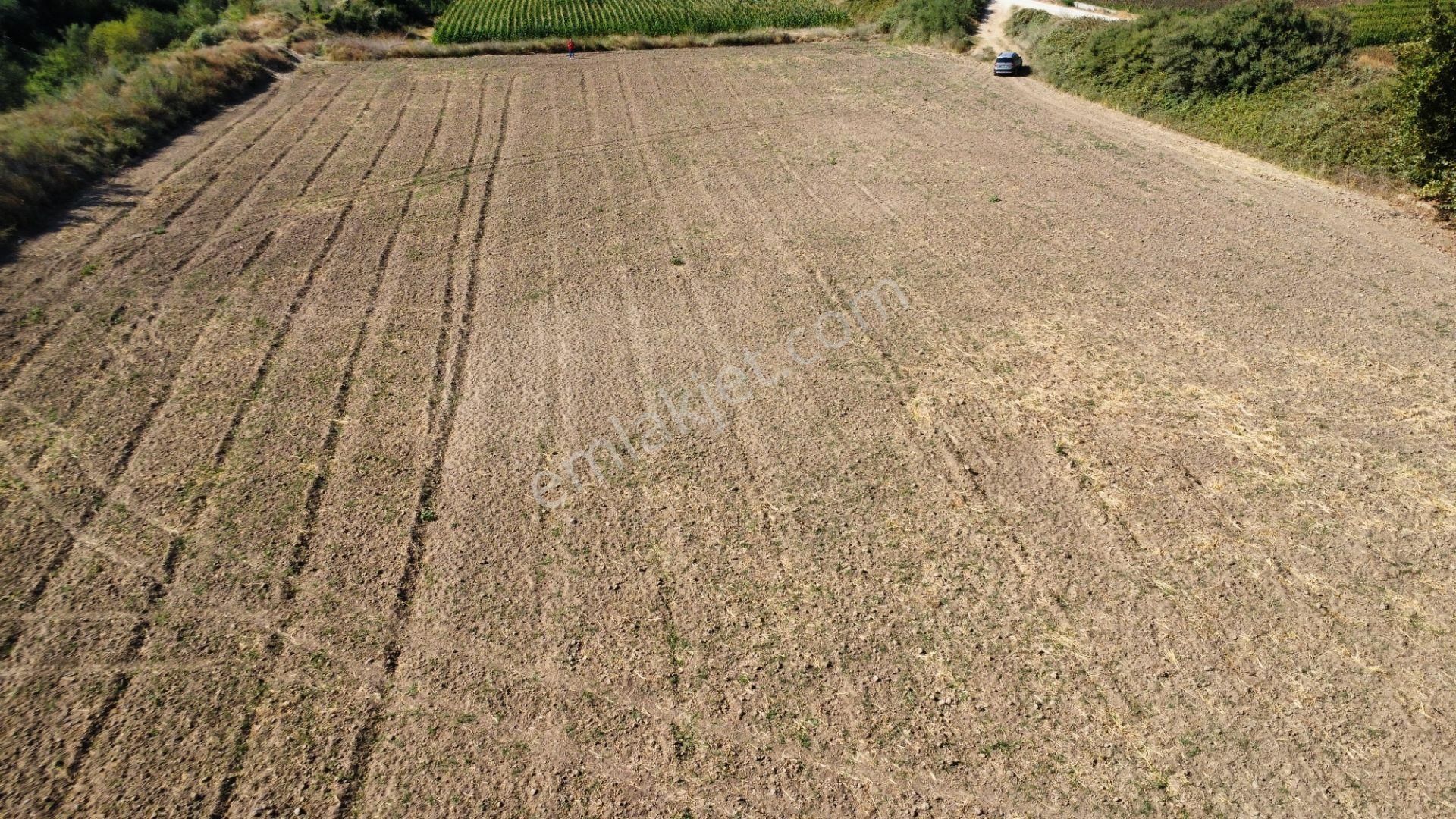 Çanakkale Merkez Çıplak Köyünde 5312 M2 Satılık Tarla - Görsel 11