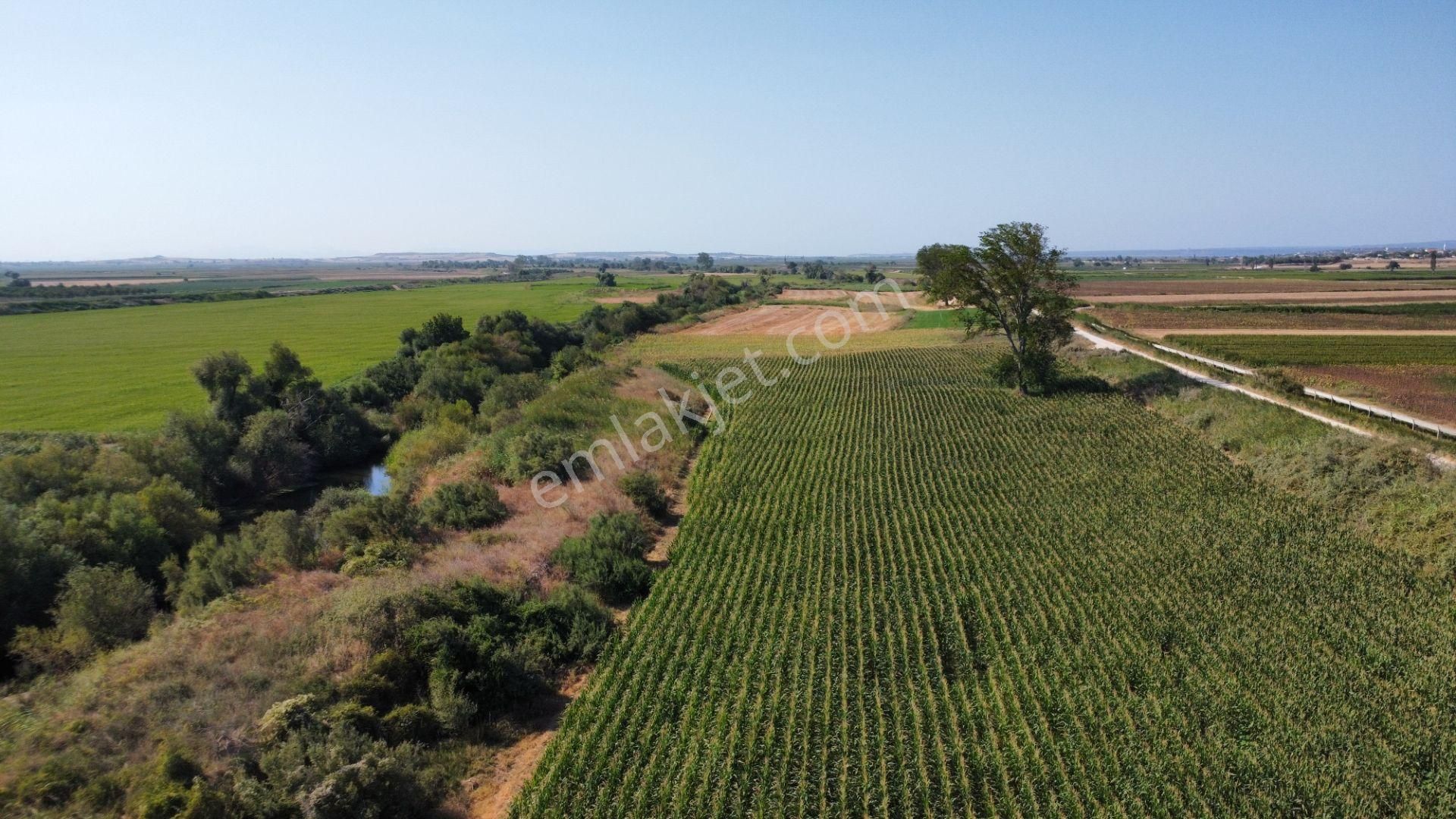 Çanakkale Merkez Çıplak Köyünde 5312 M2 Satılık Tarla - Görsel 25