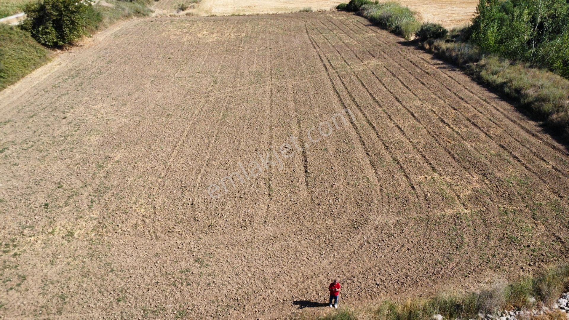 Çanakkale Merkez Çıplak Köyünde 5312 M2 Satılık Tarla - Görsel 6