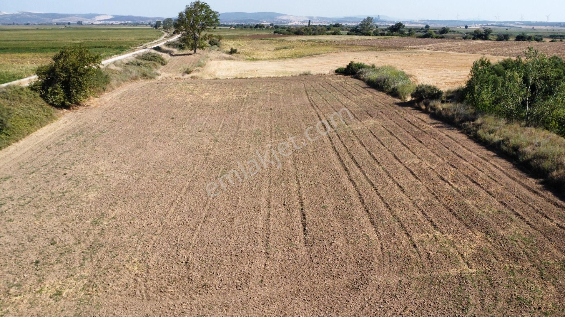 Çanakkale Merkez Çıplak Köyünde 5312 M2 Satılık Tarla - Görsel 5