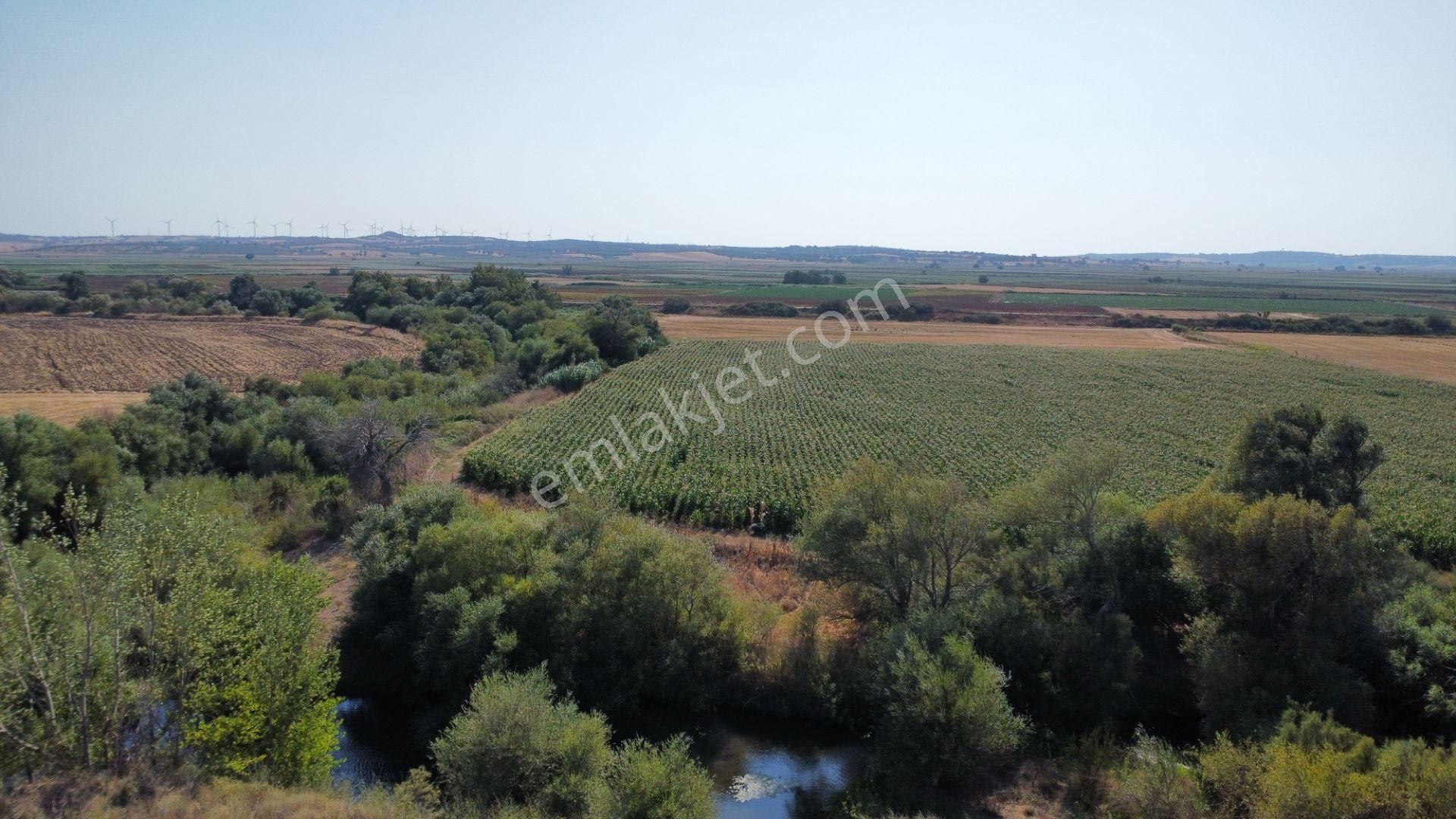 Çanakkale Merkez Çıplak Köyünde 5312 M2 Satılık Tarla - Görsel 22