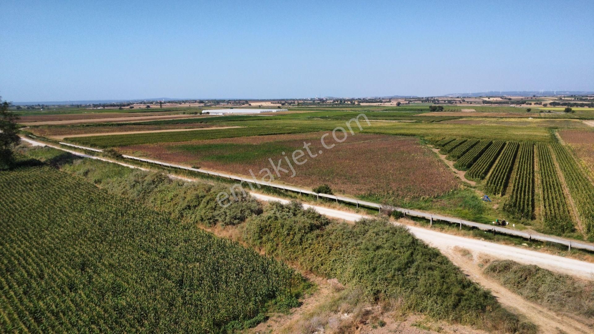 Çanakkale Merkez Çıplak Köyünde 5312 M2 Satılık Tarla - Görsel 26