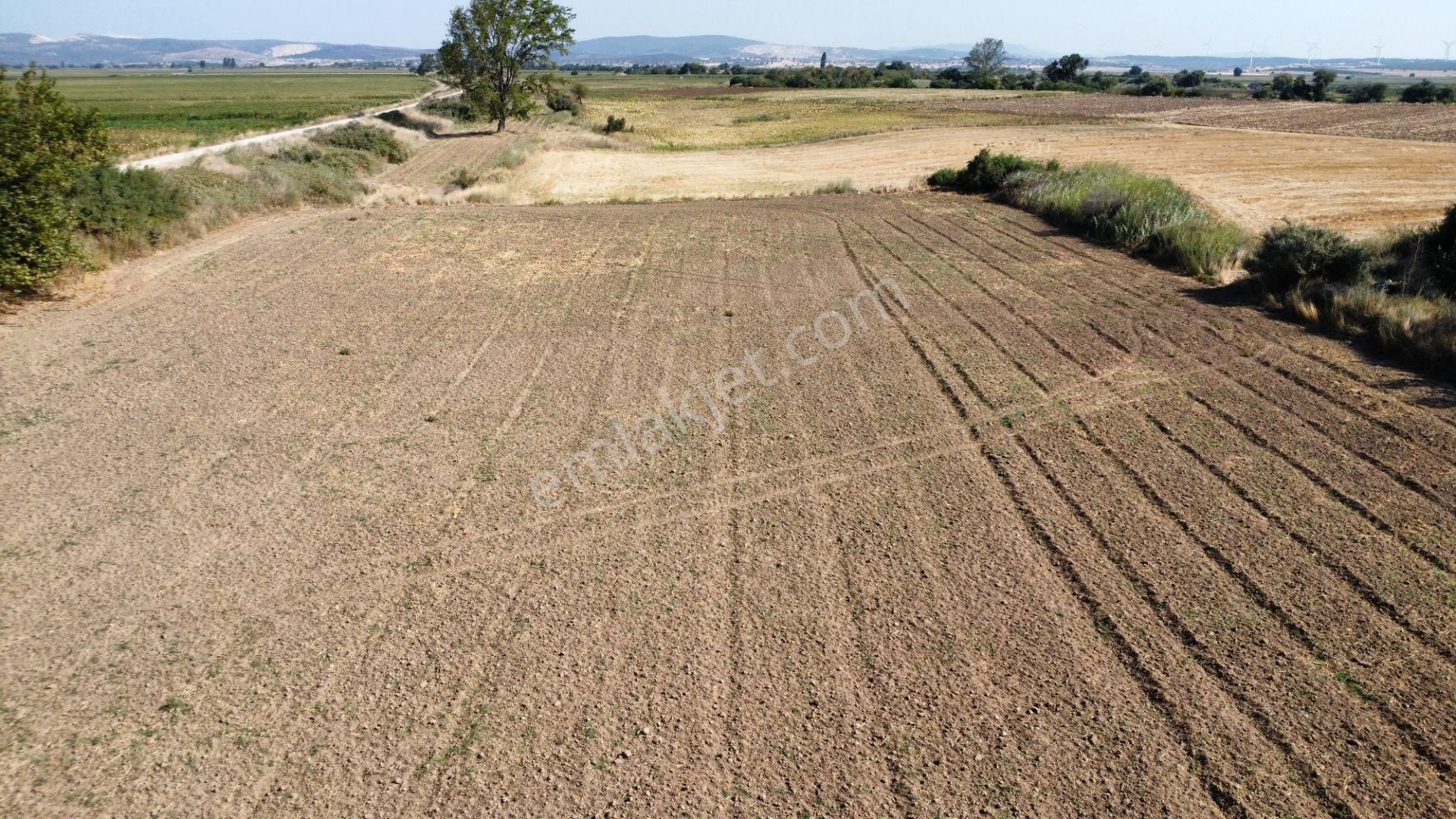 Çanakkale Merkez Çıplak Köyünde 5312 M2 Satılık Tarla - Görsel 2