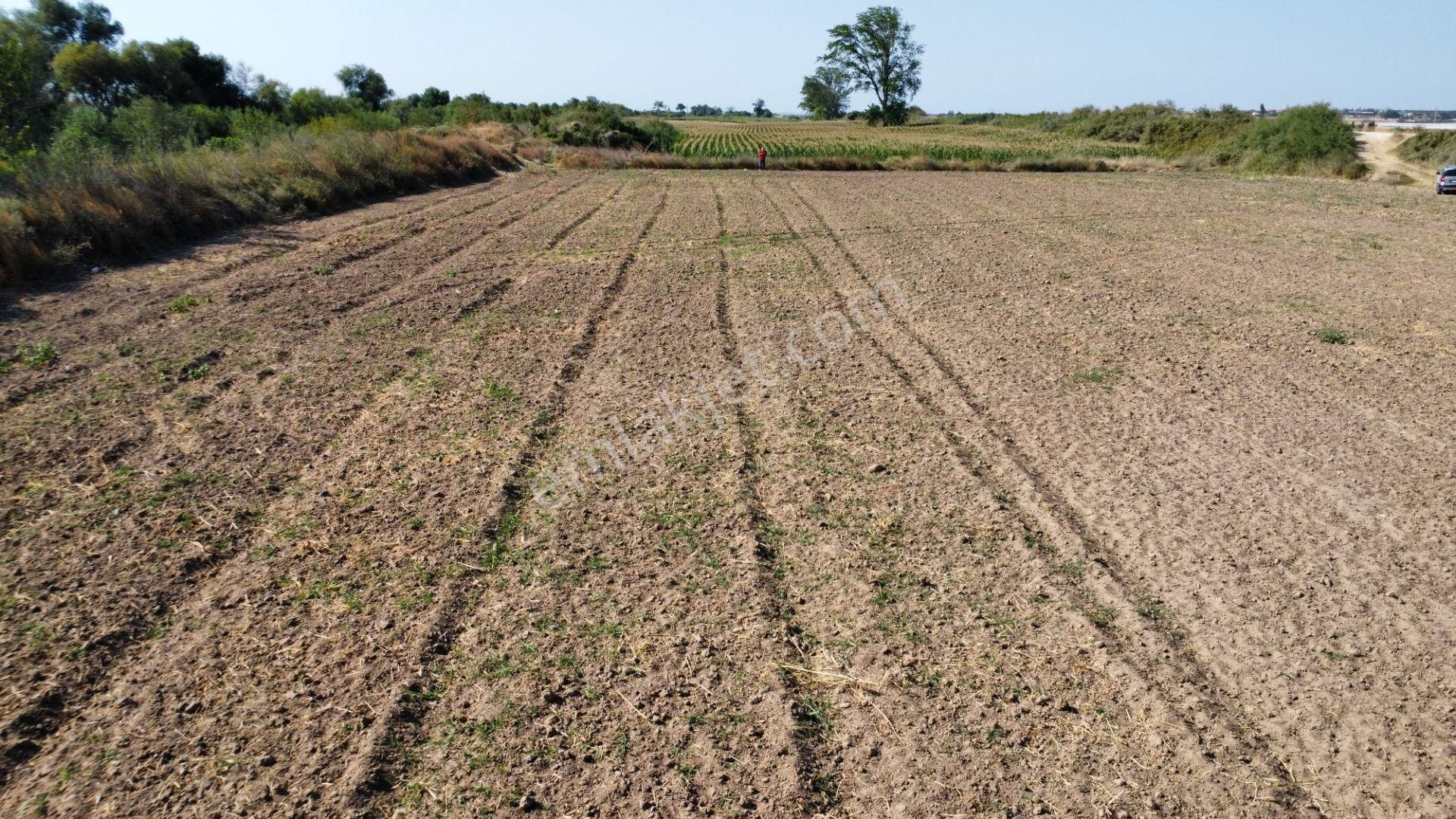 Çanakkale Merkez Çıplak Köyünde 5312 M2 Satılık Tarla - Görsel 18