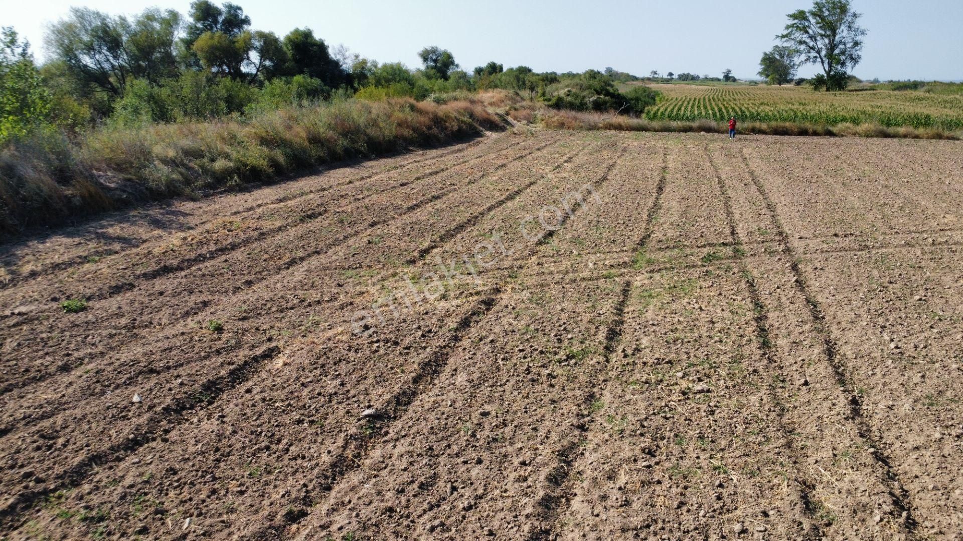 Çanakkale Merkez Çıplak Köyünde 5312 M2 Satılık Tarla - Görsel 20