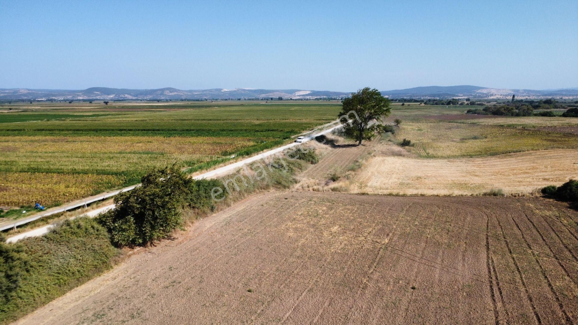 Çanakkale Merkez Çıplak Köyünde 5312 M2 Satılık Tarla - Görsel 28