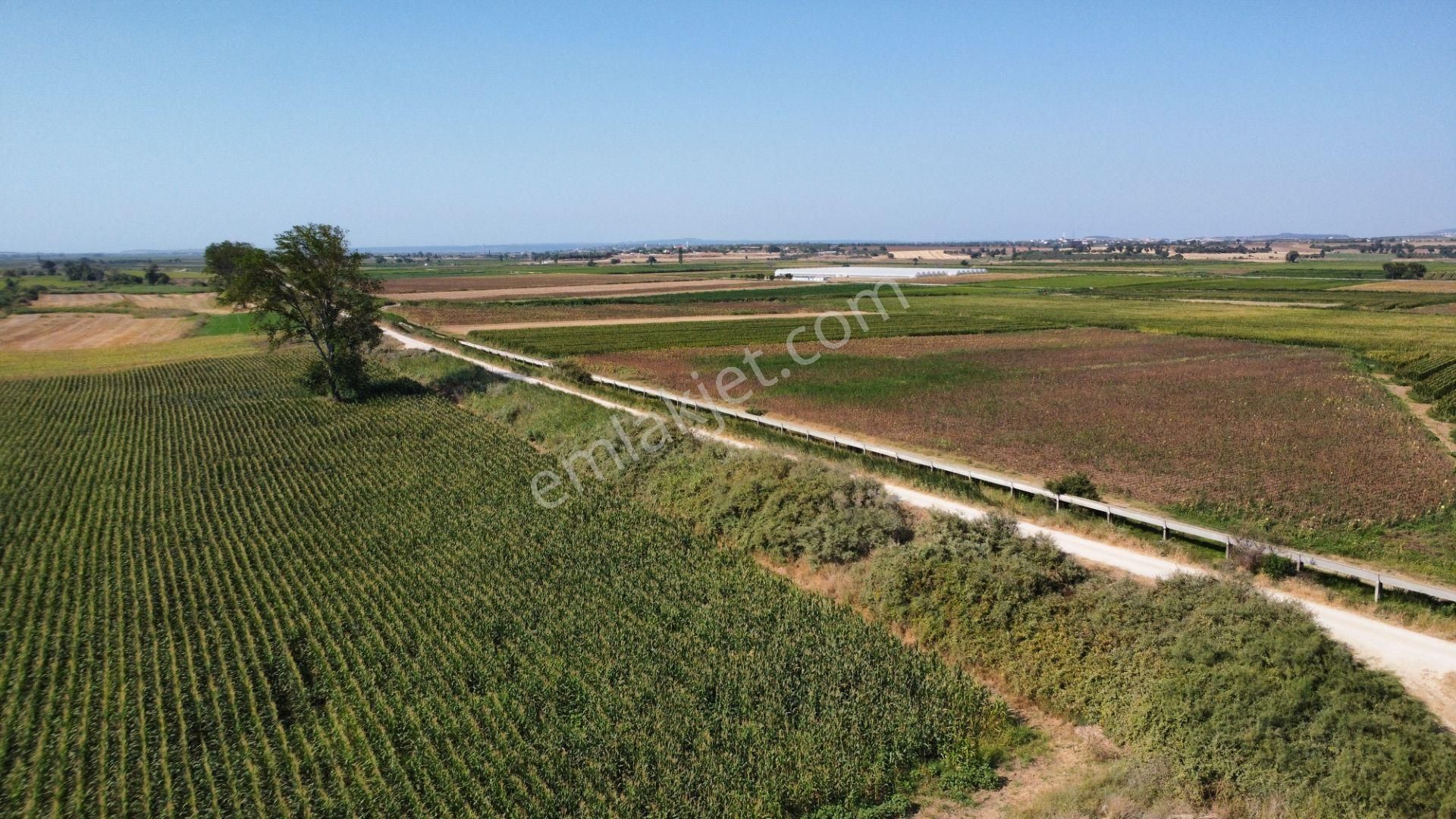 Çanakkale Merkez Çıplak Köyünde 5312 M2 Satılık Tarla - Görsel 27