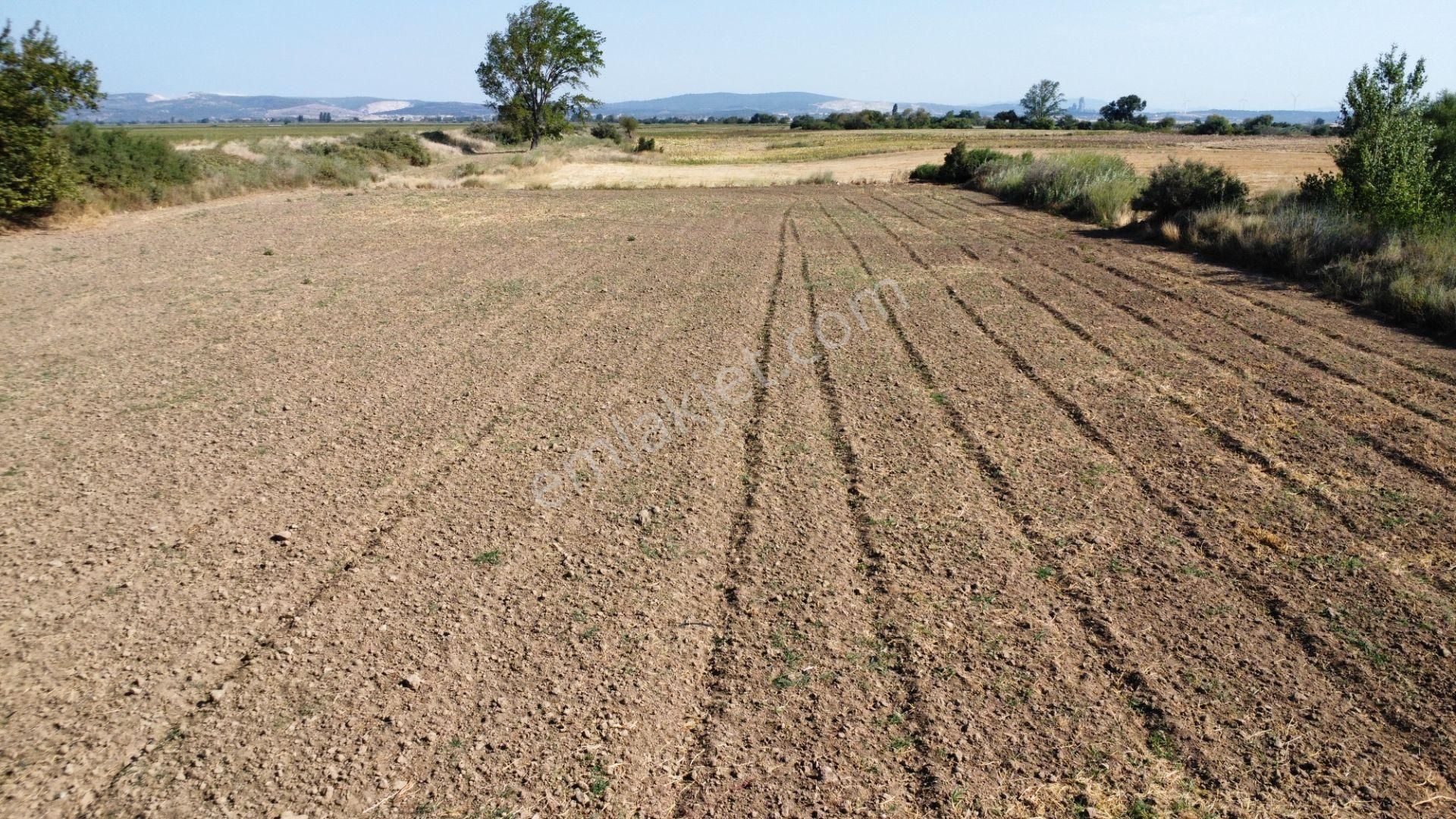 Çanakkale Merkez Çıplak Köyünde 5312 M2 Satılık Tarla - Görsel 14