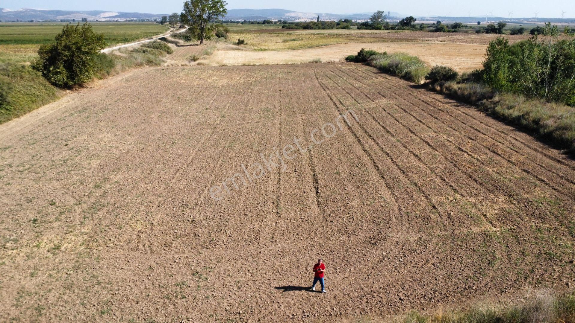 Çanakkale Merkez Çıplak Köyünde 5312 M2 Satılık Tarla - Görsel 4