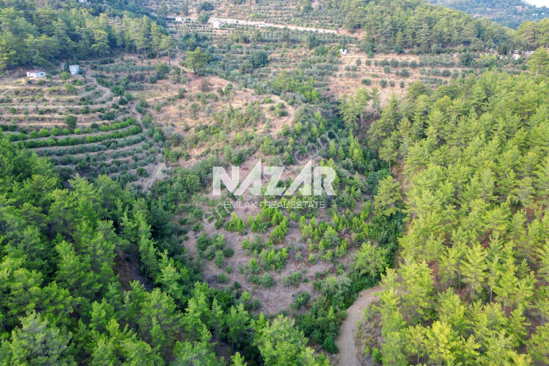 Alanya Şıhlar Köyü'nde 22.255 M² Satılık Tarla - Görsel 5