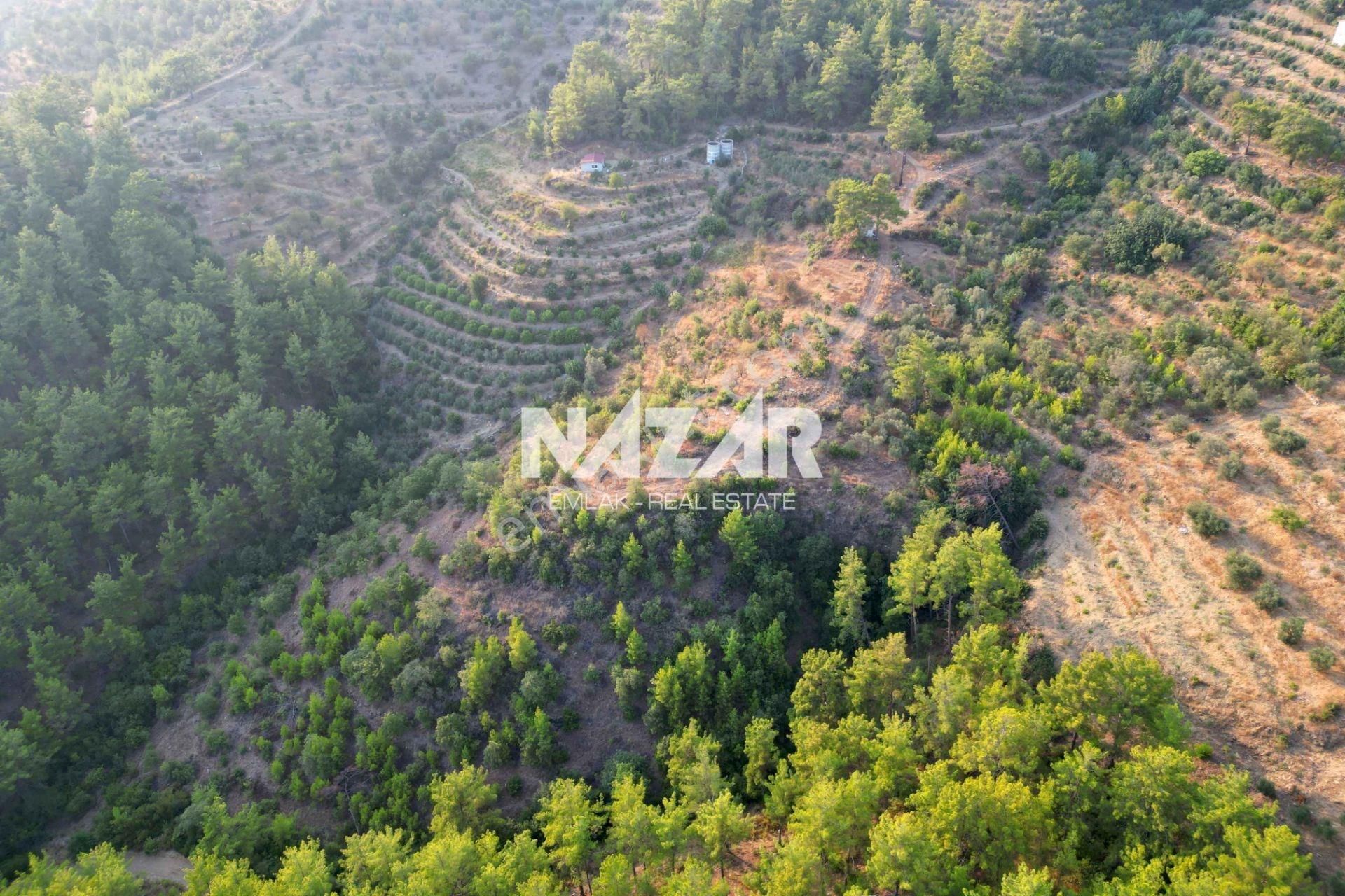 Alanya Şıhlar Köyü'nde 22.255 M² Satılık Tarla - Görsel 14