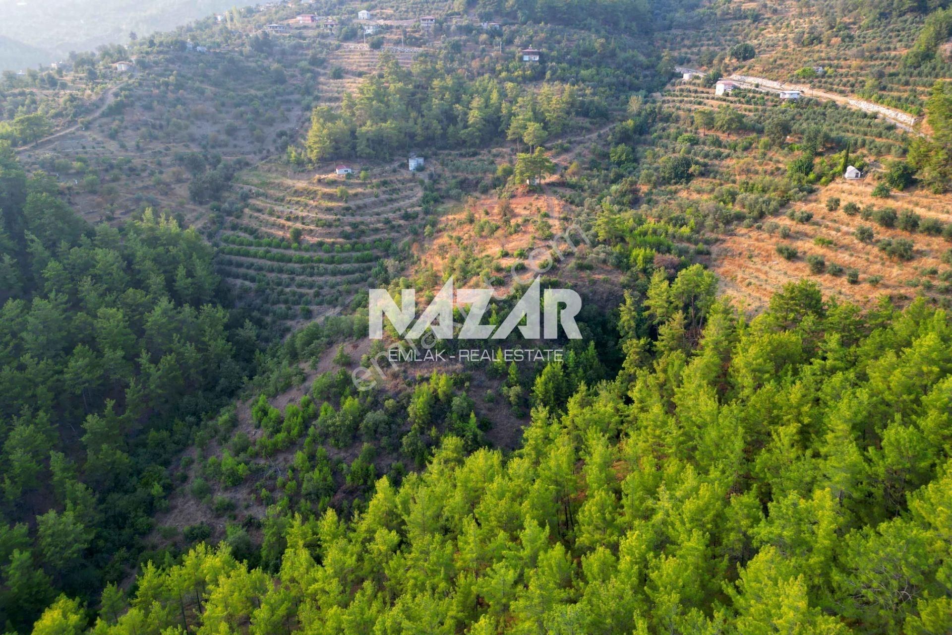 Alanya Şıhlar Köyü'nde 22.255 M² Satılık Tarla - Görsel 13