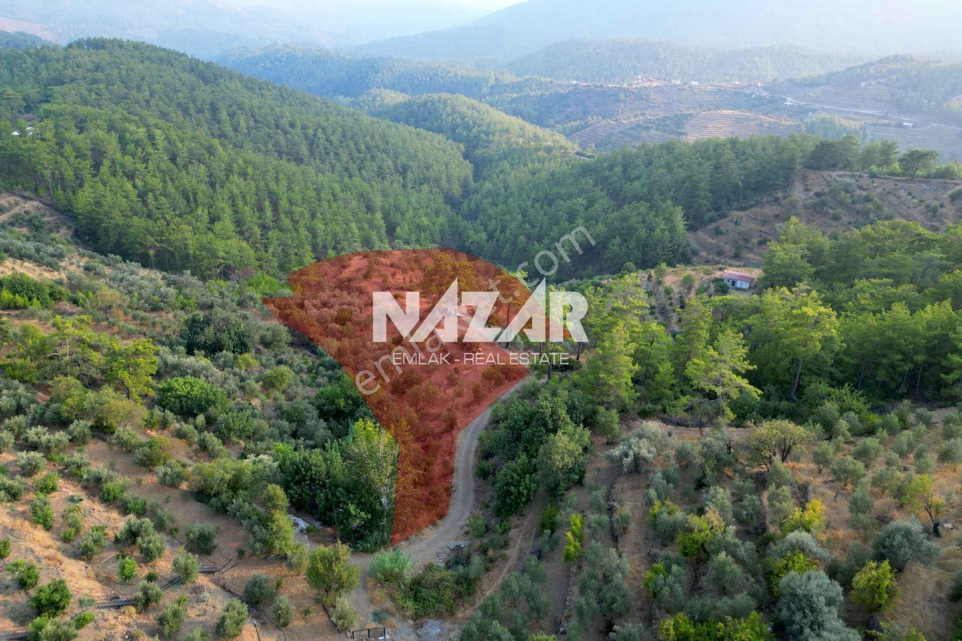 Alanya Şıhlar Köyü'nde 22.255 M² Satılık Tarla - Görsel 4