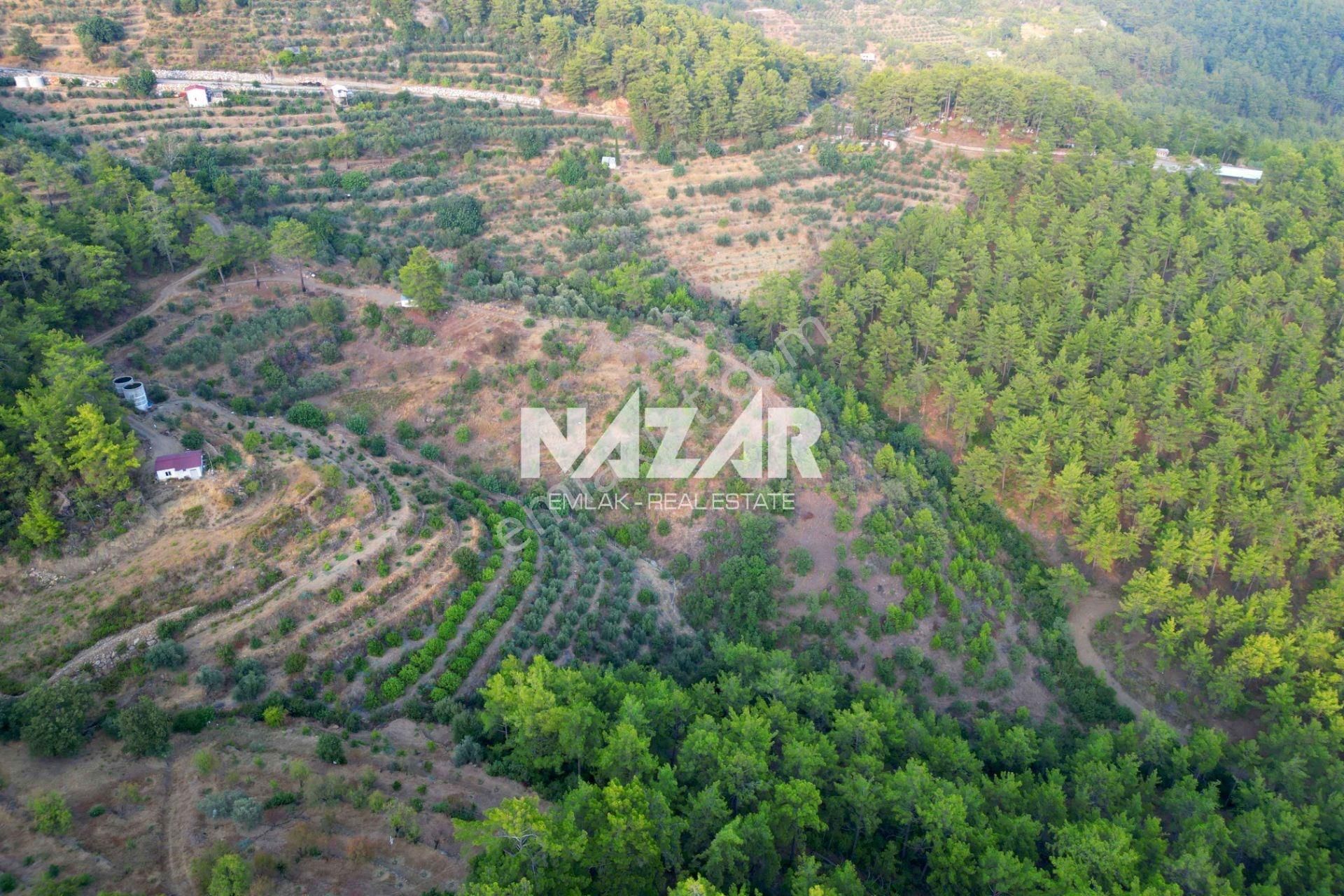 Alanya Şıhlar Köyü'nde 22.255 M² Satılık Tarla - Görsel 7