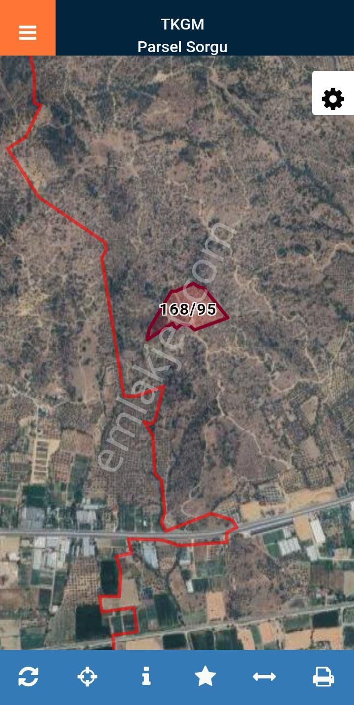 İzmir Bayındır Furunlu Mahallesinde Satılık 25.600 M2 Zeytinlik