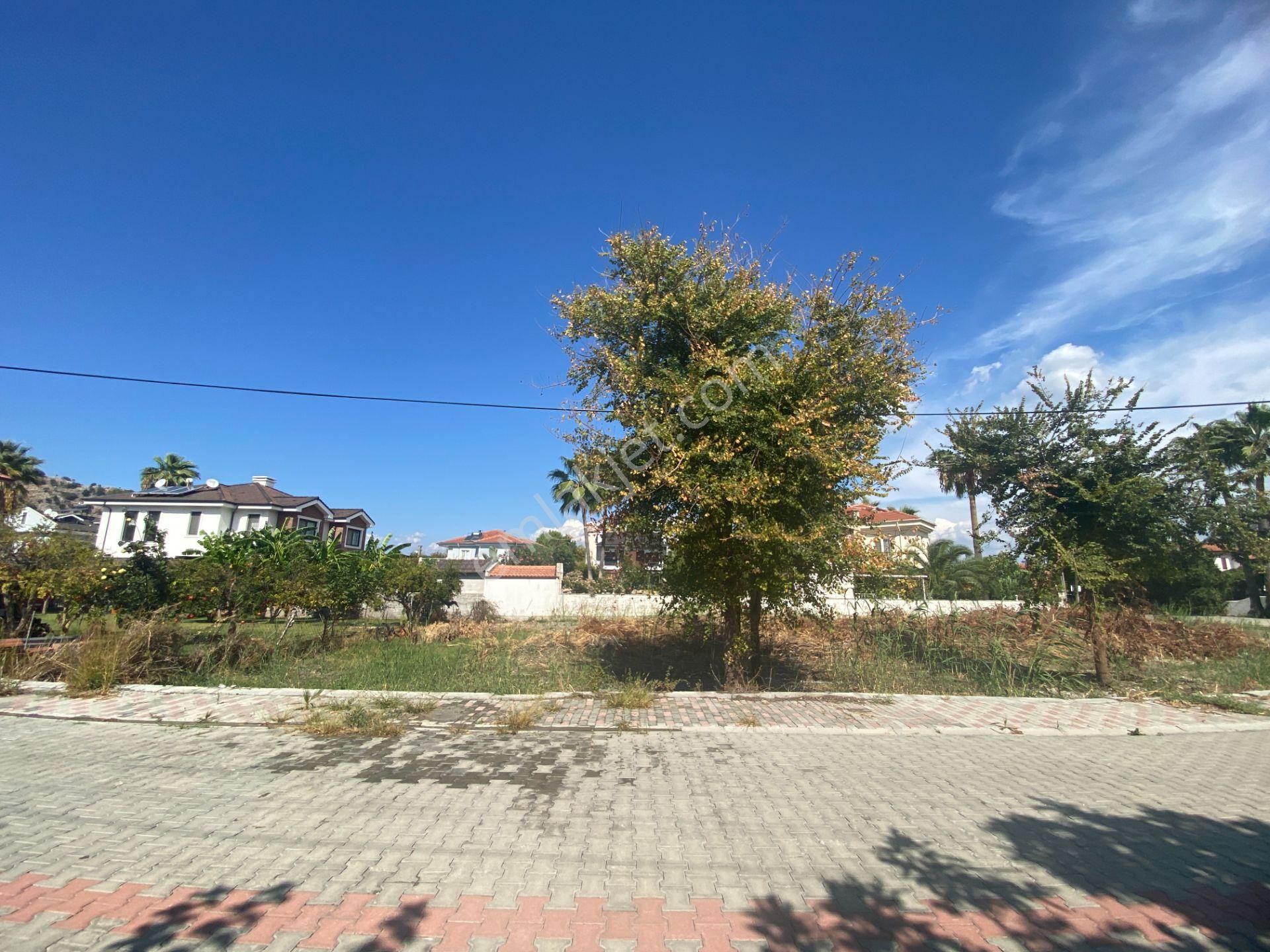 Dalyanda Maraş Mevkiinde Satılık Büyük Arsa (da41) - Görsel 6