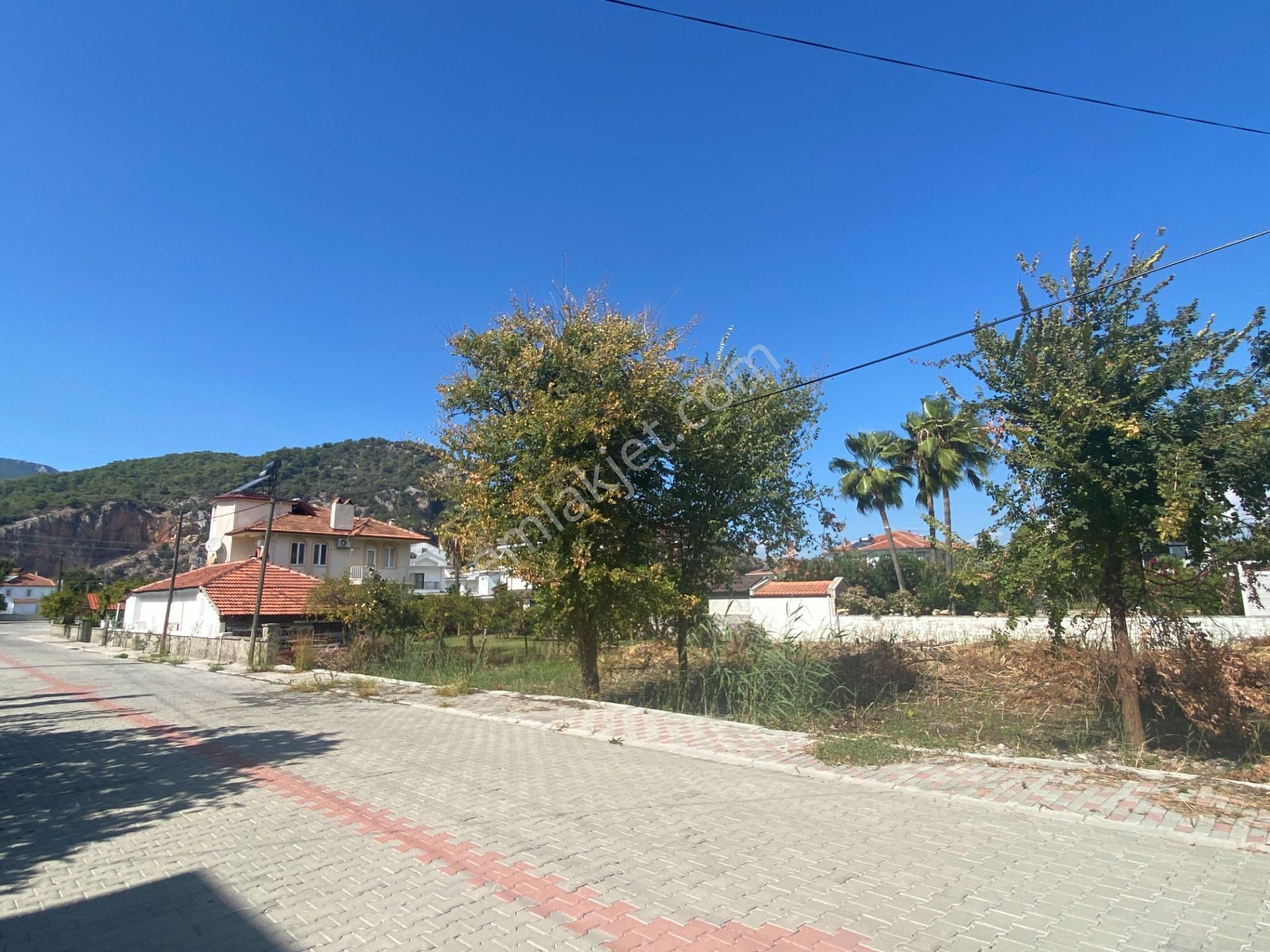 Dalyanda Maraş Mevkiinde Satılık Büyük Arsa (da41)