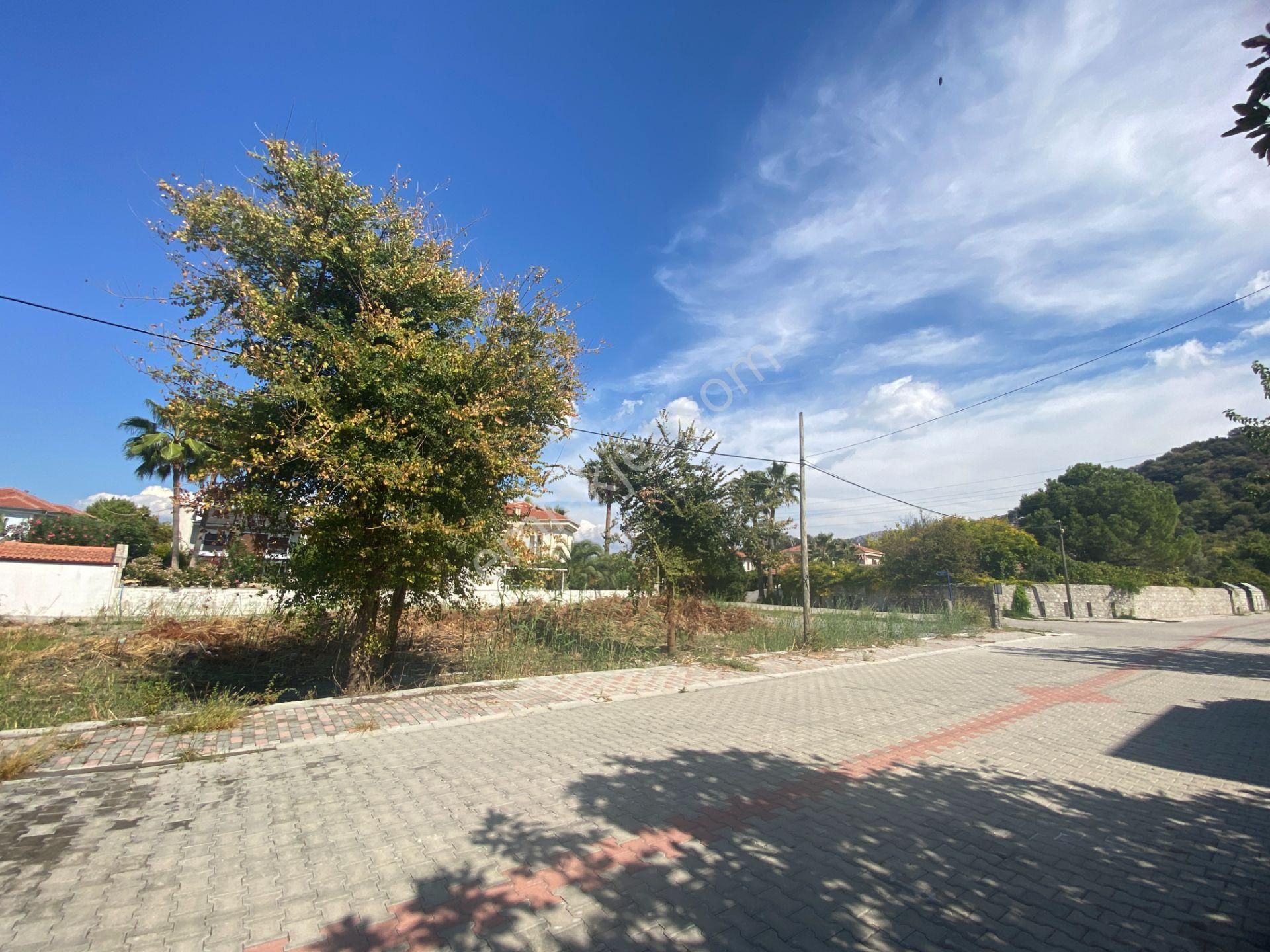 Dalyanda Maraş Mevkiinde Satılık Büyük Arsa (da41) - Görsel 5