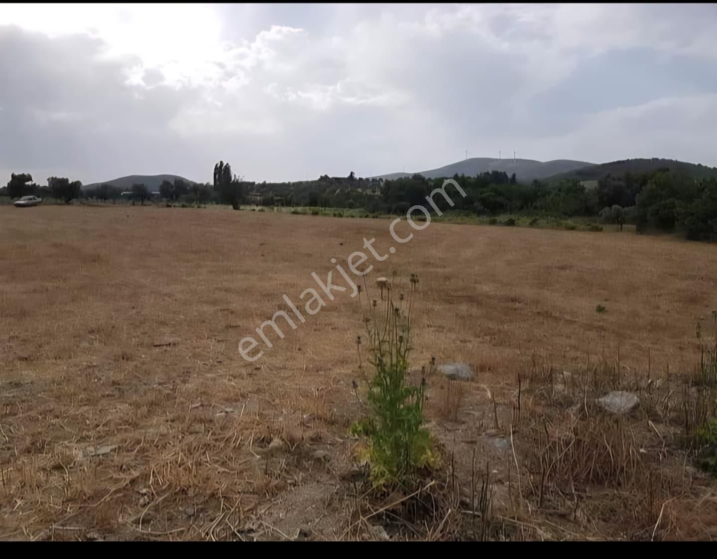 Ada Marka Gayrimenkul'den Aydın Kuşadası Çınarlı Köyü'nde Satılık Tarla - Görsel 8