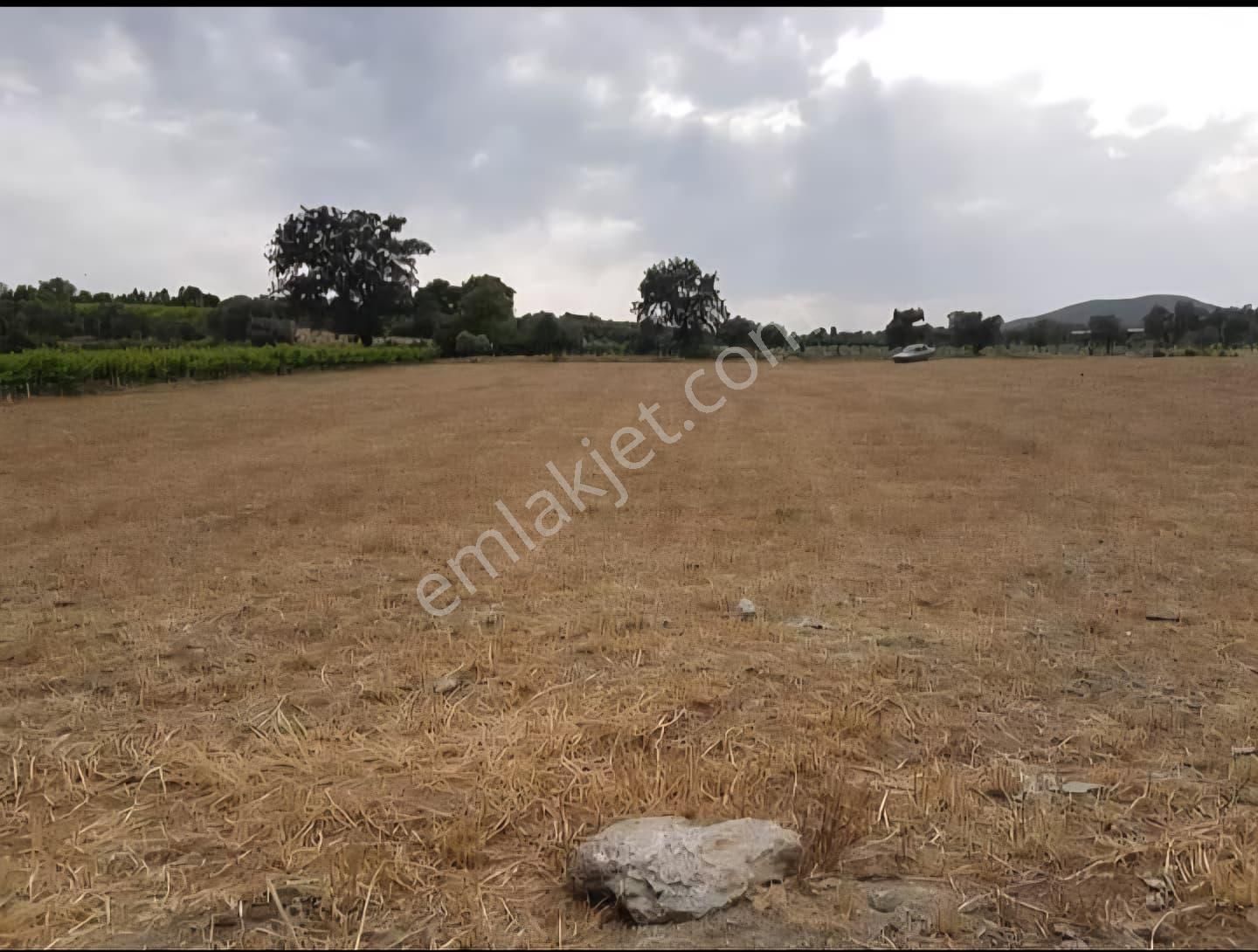 Ada Marka Gayrimenkul'den Aydın Kuşadası Çınarlı Köyü'nde Satılık Tarla - Görsel 2