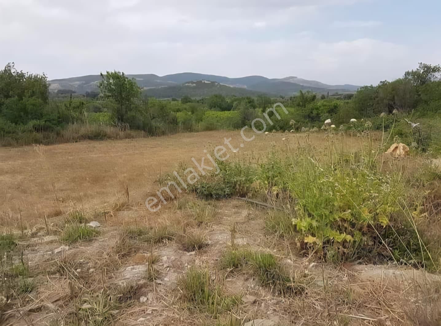 Ada Marka Gayrimenkul'den Aydın Kuşadası Çınarlı Köyü'nde Satılık Tarla - Görsel 6