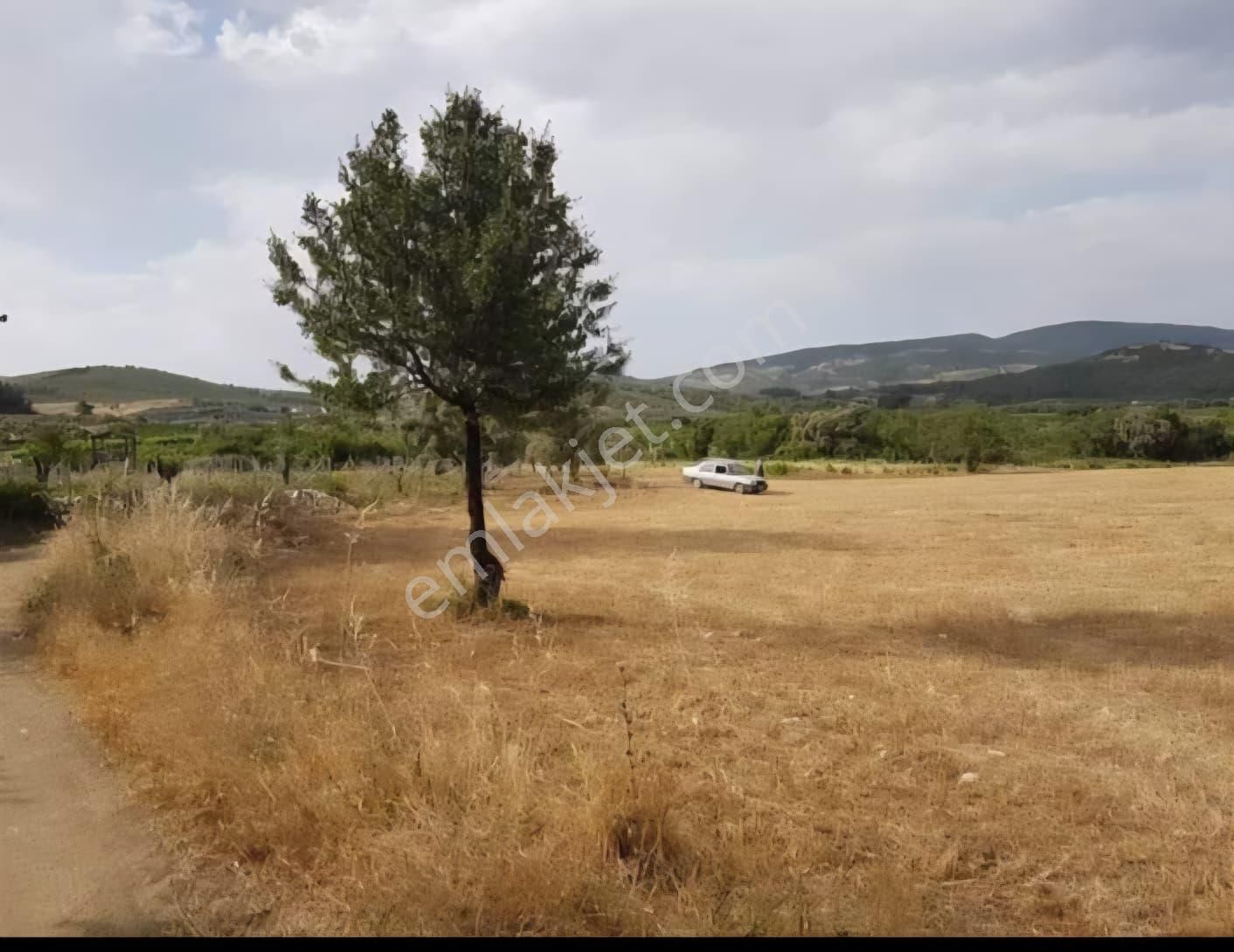 Ada Marka Gayrimenkul'den Aydın Kuşadası Çınarlı Köyü'nde Satılık Tarla - Görsel 4