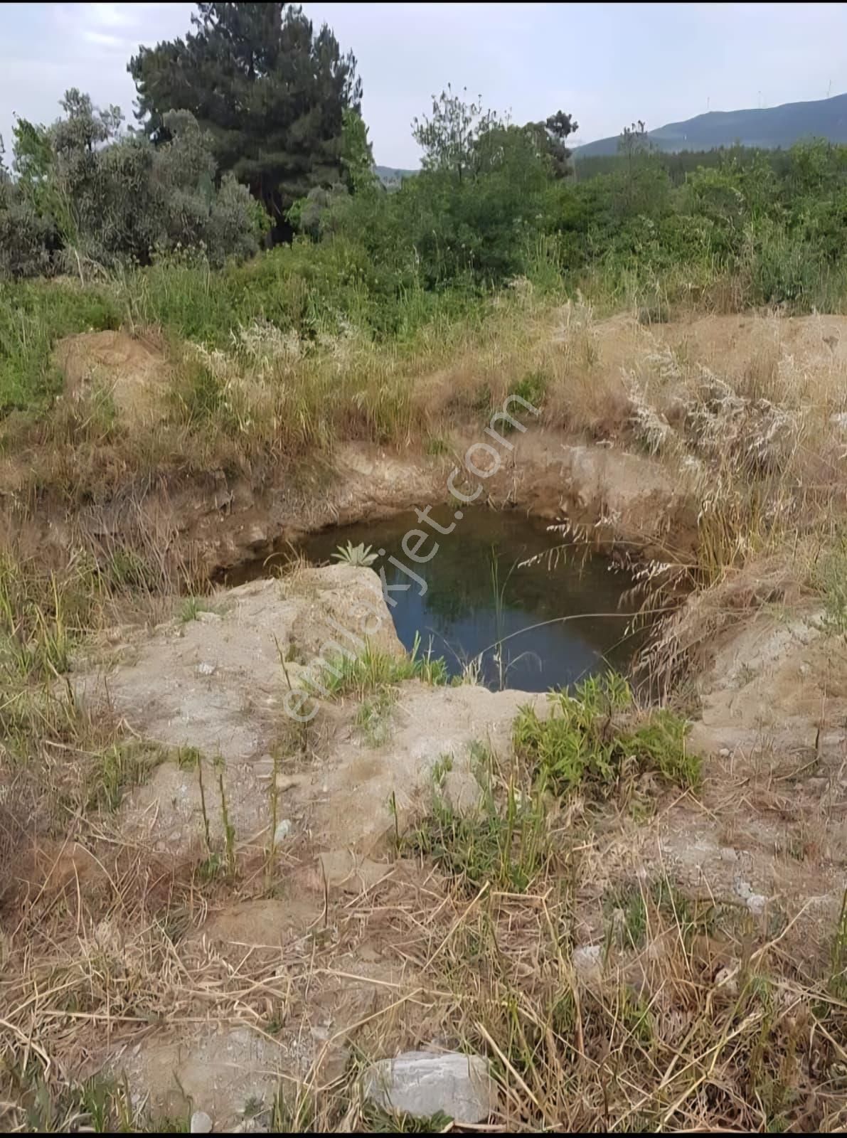 Ada Marka Gayrimenkul'den Aydın Kuşadası Çınarlı Köyü'nde Satılık Tarla - Görsel 5