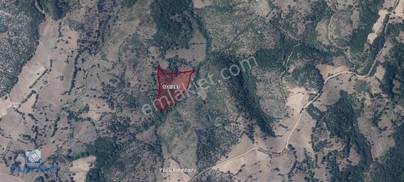 Çanakkale / Çan / Asmalı Köyünde Yatırımlık Fırsat! - Görsel 5